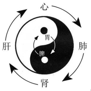脏腑气机升降图